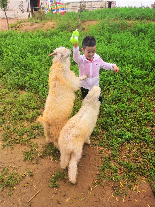 7敖宇骋 中四班1.jpg